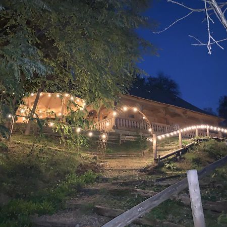 Casuta Bunicilor Villa Viseu de Jos Exterior foto