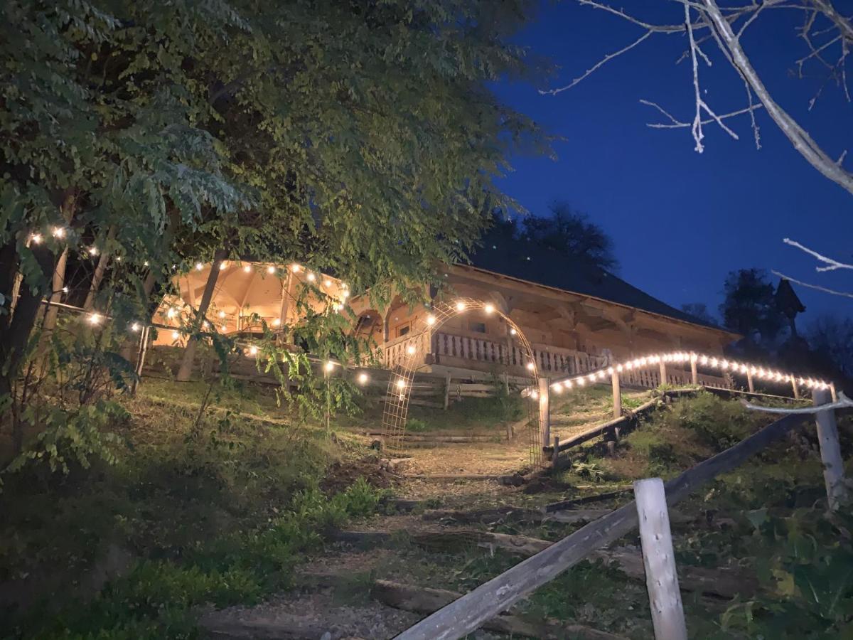 Casuta Bunicilor Villa Viseu de Jos Exterior foto